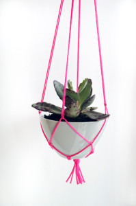 Pink hanging