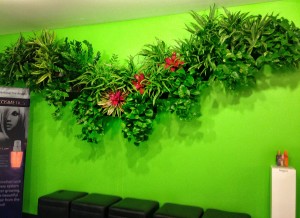 Living Wall Design